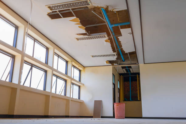 Best Flooded house restoration  in Randallstown, MD