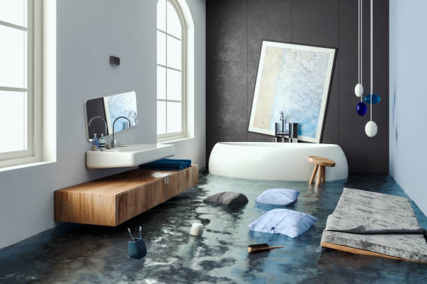 Best Water damage restoration experts  in Randallstown, MD