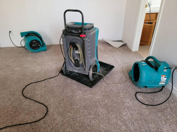 Best Professional water damage repair  in Randallstown, MD