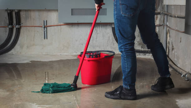 Best Water damage restoration specialists  in Randallstown, MD