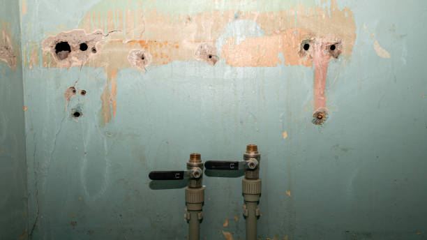 Best Flood damage cleanup  in Randallstown, MD