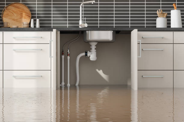 Best Carpet water damage restoration  in Randallstown, MD